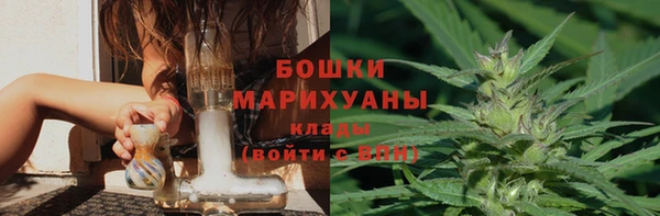 прущий лед Богданович