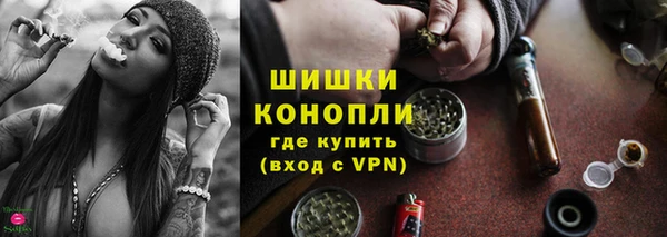дурь Богородицк