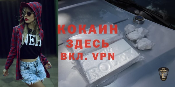 дурь Богородицк