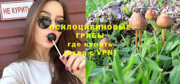 прущая мука Богородск