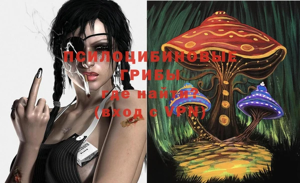 прущий лед Богданович
