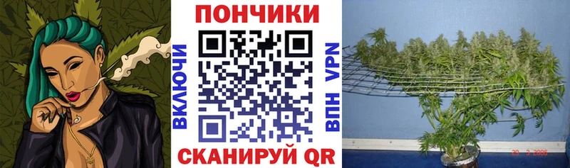 Шишки марихуана тримм  наркотики  Красногорск 